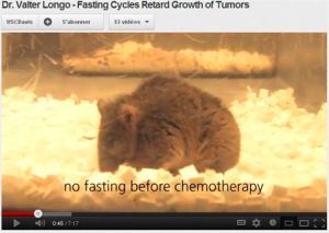souris alimentée avant la chimiothérapie