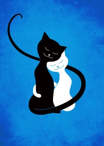 hugging_white_and_black_cat_in_love_blue_500px_by_azzza-d7650mc