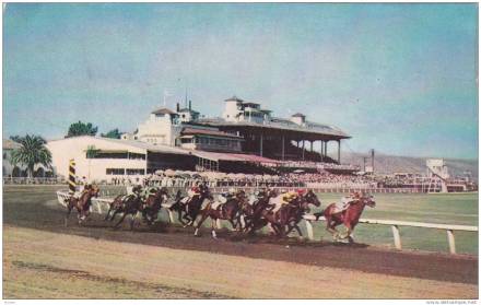 Caliente Race Track (Horses) In Tijuana Mexico, 1940-1960s